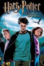 Harry Potter (2004)