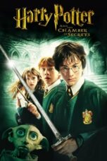 Harry Potter (2002)